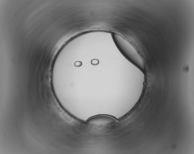X0000110731288200907101419