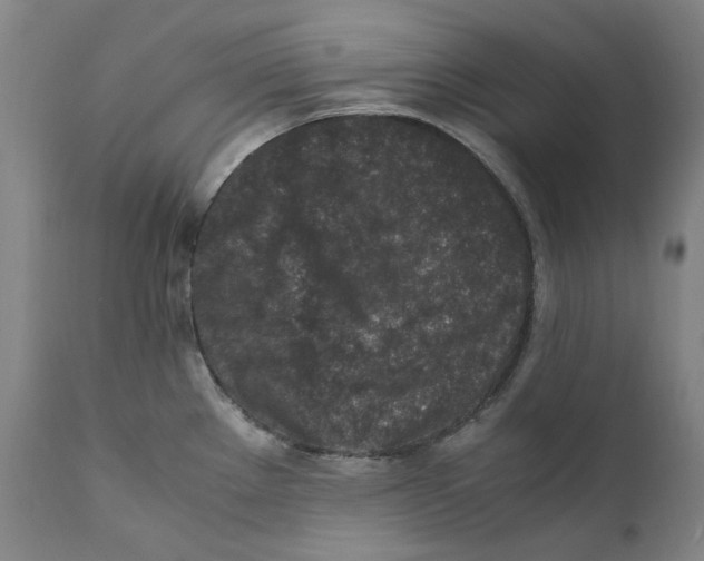 X0000110731289200907101419