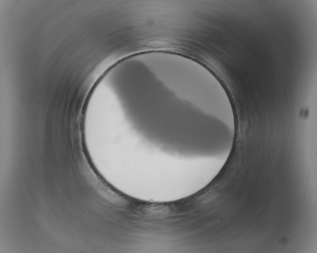 X0000110731291200907101419