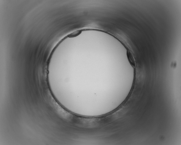 X0000110731292200907101419