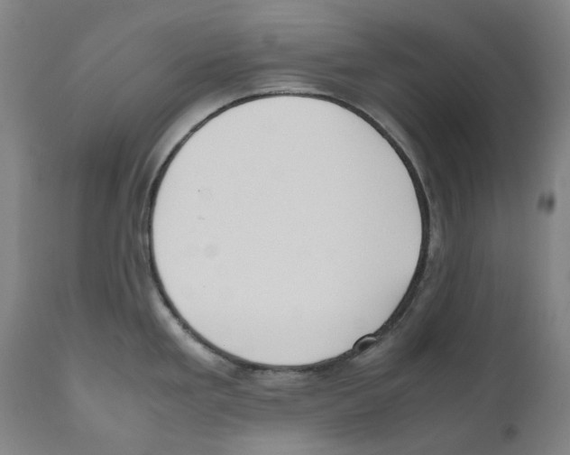 X0000110731293200907101419