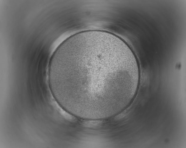 X0000110731294200907101419