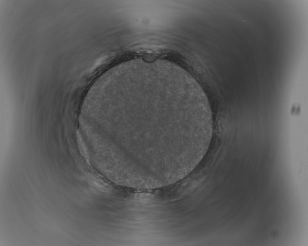 X0000110731297200907101418