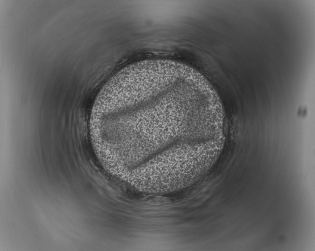 X0000110731298200907101418