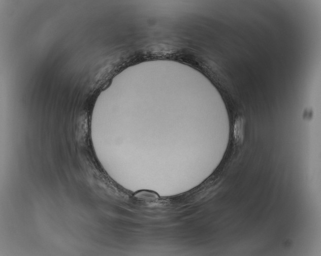 X0000110731299200907101418