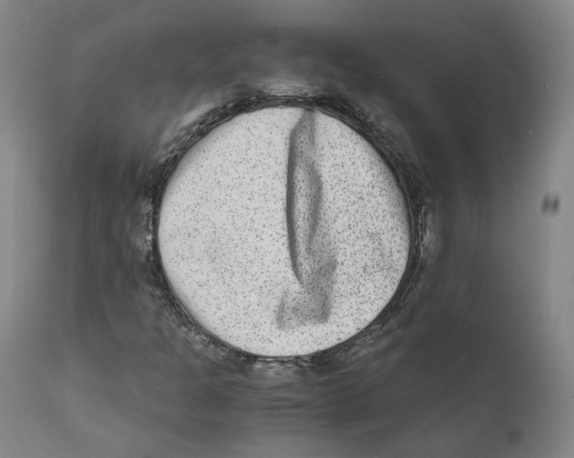X0000110731301200907101418