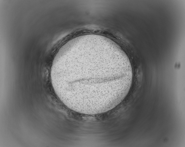 X0000110731302200907101418