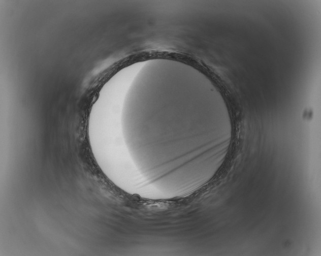 X0000110731303200907101418