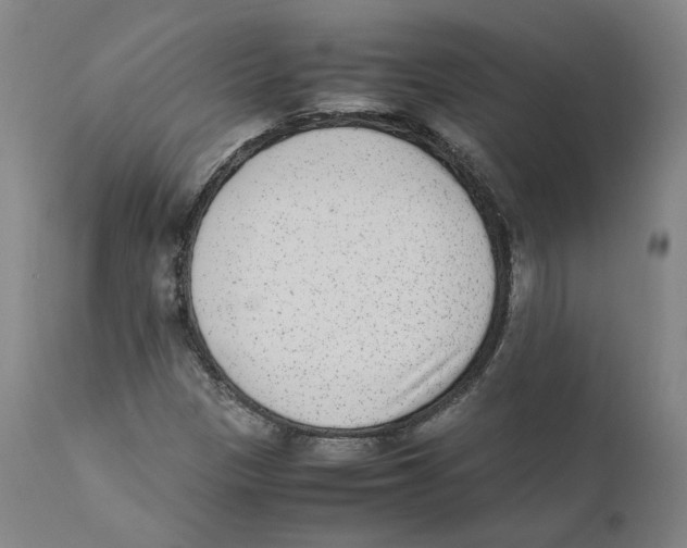 X0000110731305200907101418