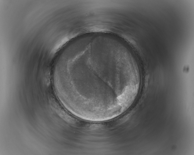 X0000110731306200907101418