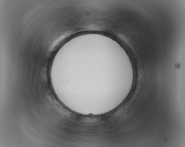 X0000110731307200907101418
