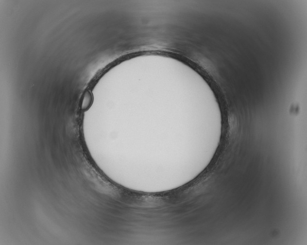 X0000110731308200907101418