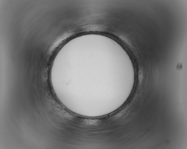X0000110731309200907101418