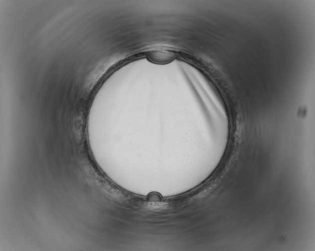 X0000110731313200907101419