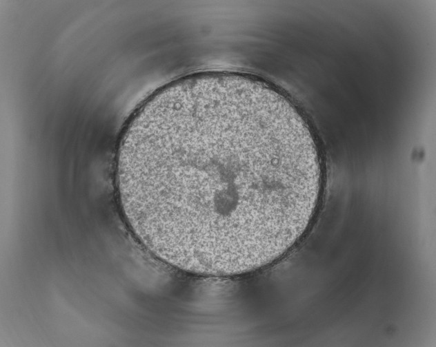 X0000110731314200907101419
