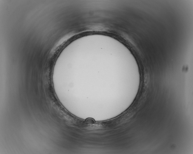 X0000110731315200907101419