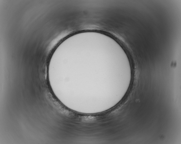 X0000110731317200907101419