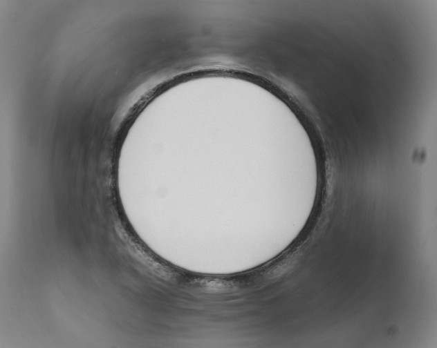 X0000110731318200907101419