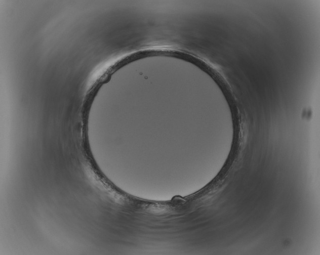 X0000110731319200907101419