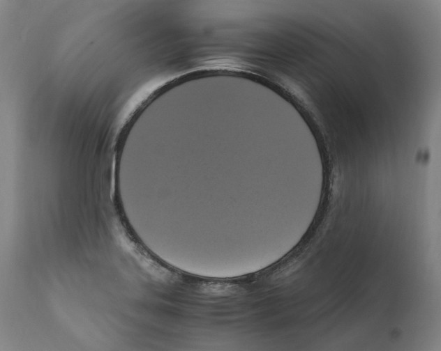 X0000110731323200907101419