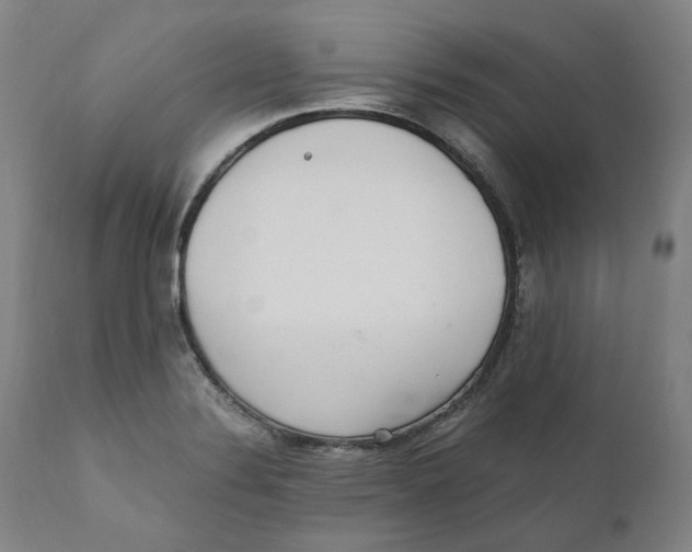 X0000110731324200907101419