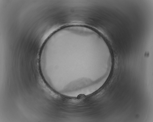 X0000110731325200907101419