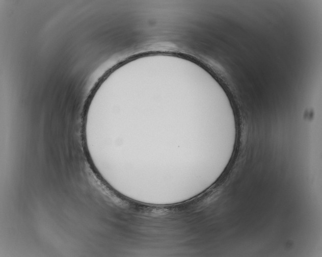 X0000110731326200907101419