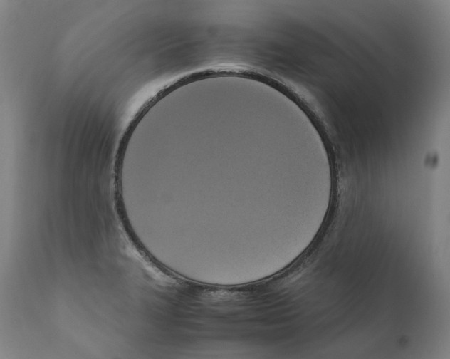 X0000110731327200907101419