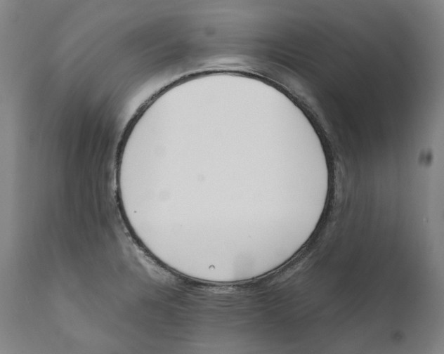 X0000110731328200907101419