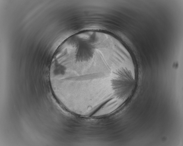 X0000110731329200907101419