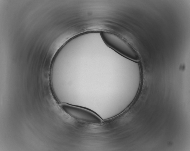 X0000110731330200907101419