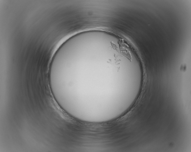 X0000110731332200907101419