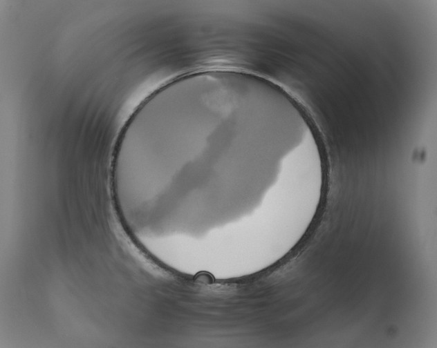 X0000110731333200907101419