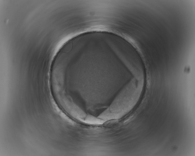 X0000110731334200907101419