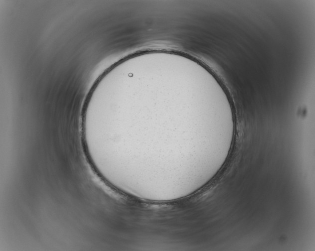 X0000110731335200907101419