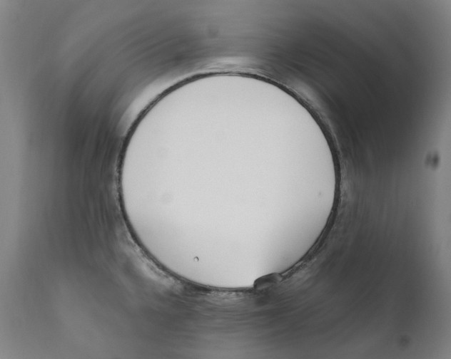 X0000110731336200907101419