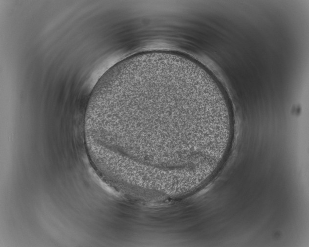 X0000110731337200907101419