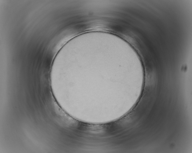 X0000110731338200907101419