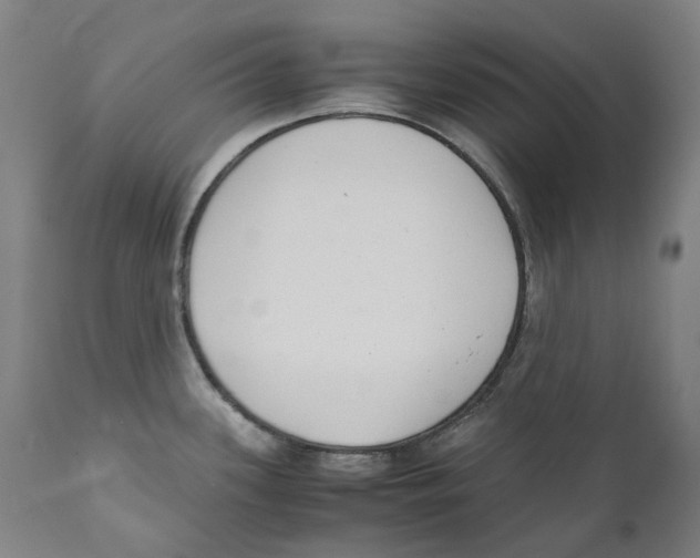 X0000110731339200907101419