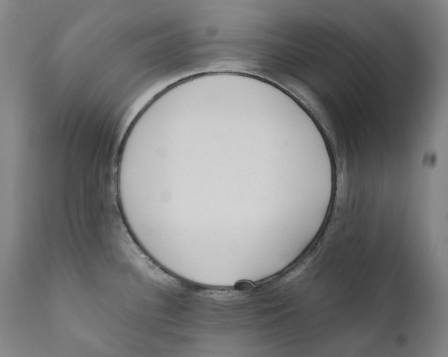 X0000110731340200907101419