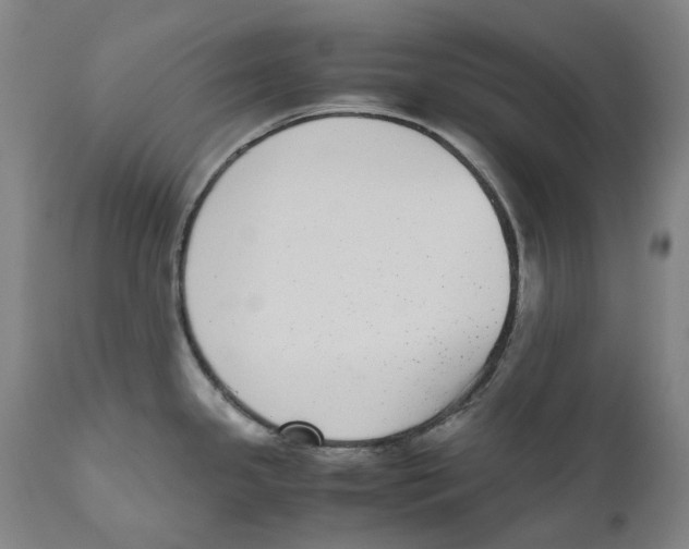 X0000110731341200907101419