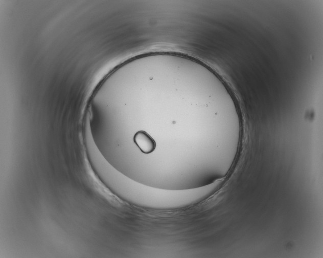 X0000110731342200907101419