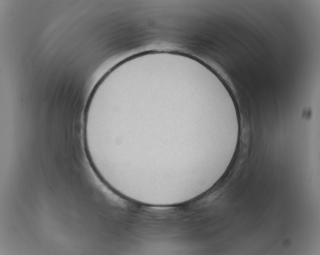 X0000110731343200907101419