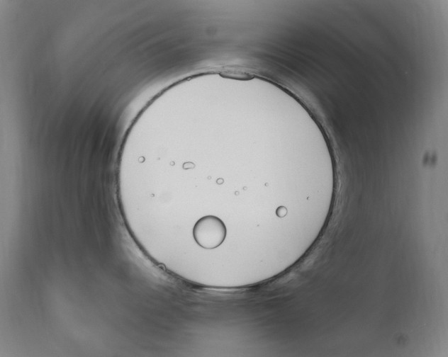 X0000110731344200907101419