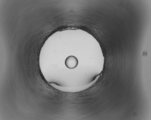X0000110731345200907101418