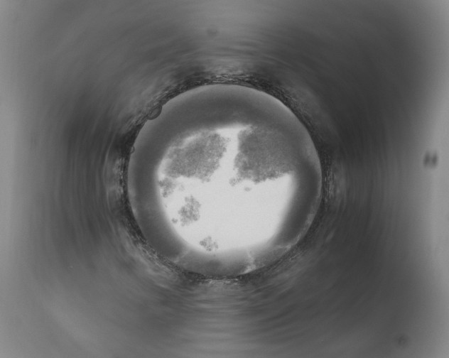 X0000110731346200907101418