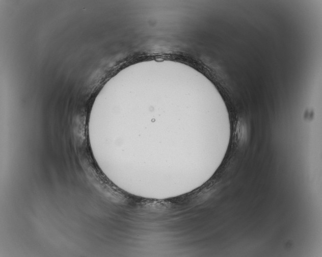 X0000110731348200907101418