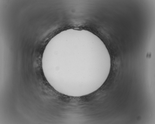 X0000110731349200907101418