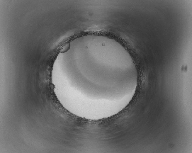 X0000110731350200907101418