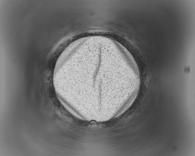 X0000110731351200907101418